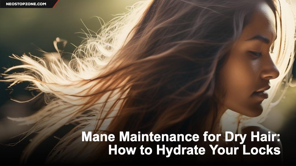 Mane Maintenance for Dry Hair: How to Hydrate Your Locks