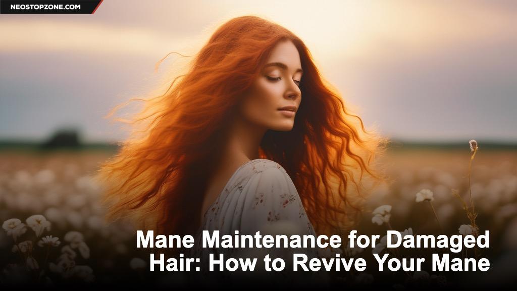 Mane Maintenance for Damaged Hair: How to Revive Your Mane