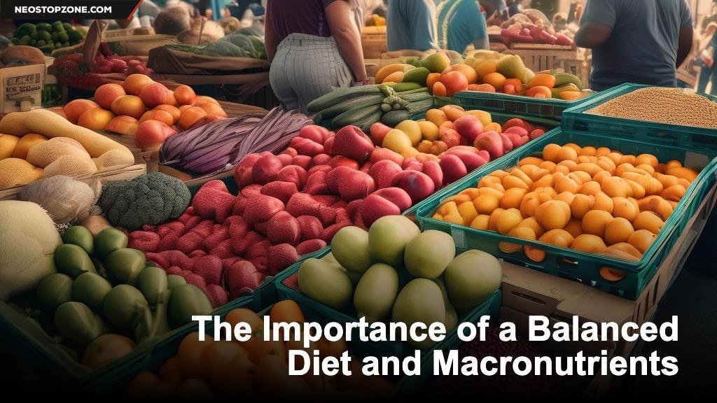 The Importance of a Balanced Diet and Macronutrients