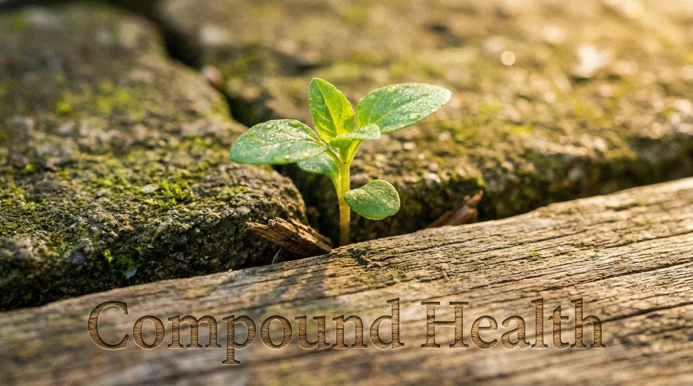 Small green sprout symbolizing the compound effect of habits.